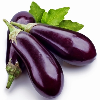 Solanum melongena 'Black Beauty' 