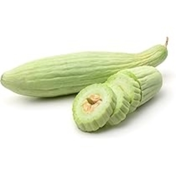 Cucumis sativus 'Davida' 