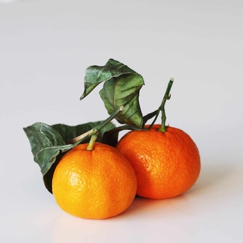 Citrus unshiu