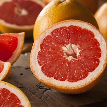 Citrus x paradisi 'Ruby Red' 
