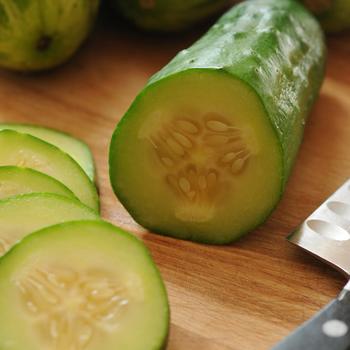 Cucumis sativus 'Gold Standard' 