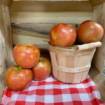 Malus domestica 'JonaStar®' (306889)