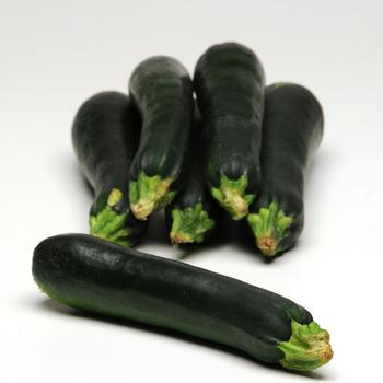 Cucurbita 'Green' 