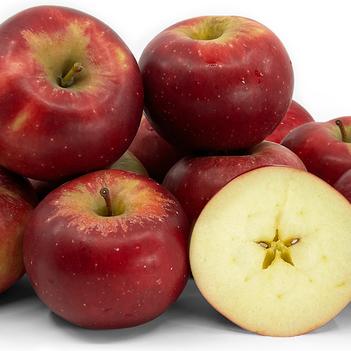 Malus domestica 'Stayman Winesap' 