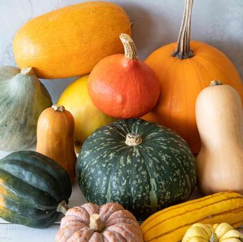 Cucurbita pepo 'Carnival' 
