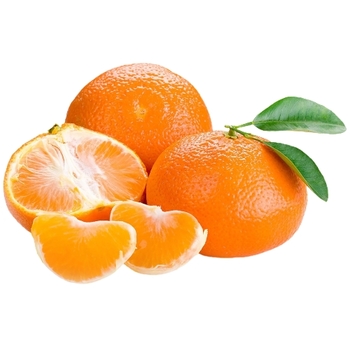 Citrus reticulata 'Ponkan'