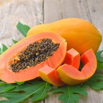 Carica papaya