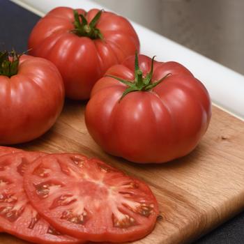 Lycopersicon esculentum 'Wonderstar Pink' (312735)