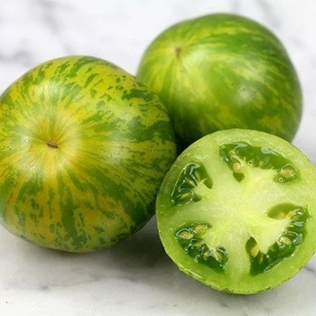 Lycopersicon esculentum 'Green Zebra' PP18924P3