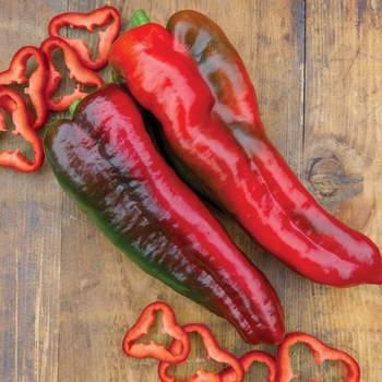 Capsicum annuum 'Marconi' 