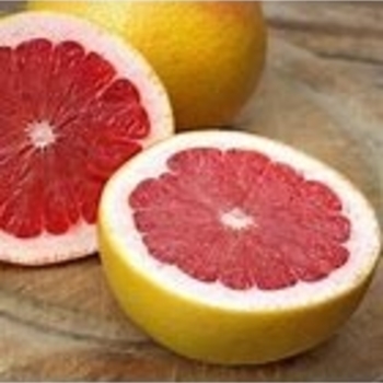 Citrus paradisi 'Rio Red'