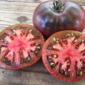 Solanum lycopersicon 'Cherokee Purple' PP20423