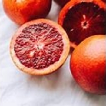 Citrus sinensis 'Moro' 