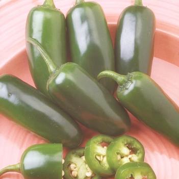 Capsicum annuum 'Fooled You' 