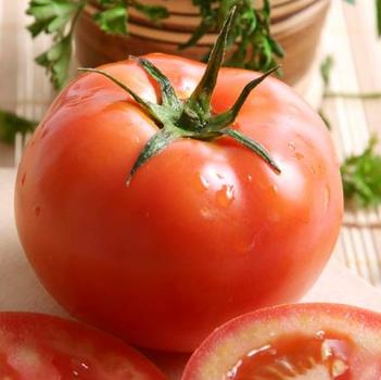 Solanum lycopersicum 'Better Boy' 
