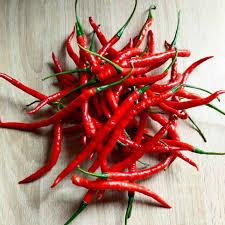 Capsicum annuum 'Cayenne Long Slim' 