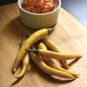 Capsicum annuum 'Golden Cayenne' 