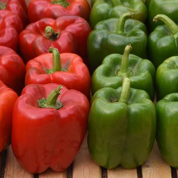 Capsicum annuum 'KickStart&trade;' 