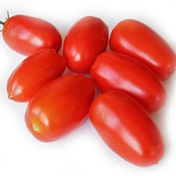 Solanum lycopersicon 'Juliet' 