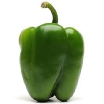 Capsicum annuum 'Better Belle II' 