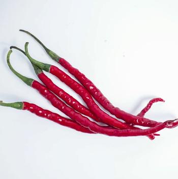 Capsicum annuum 'Cayenne Long Slim' 