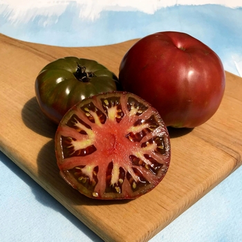 Solanum lycopersicon 'Cherokee Purple' PP20423