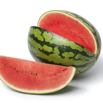 Citrullus lanatus 'Crimson Sweet'
