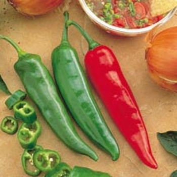 Capsicum annuum 'Garden Salsa'