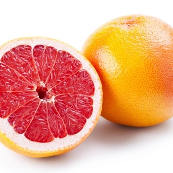 Citrus sinensis 'Cara Cara' 