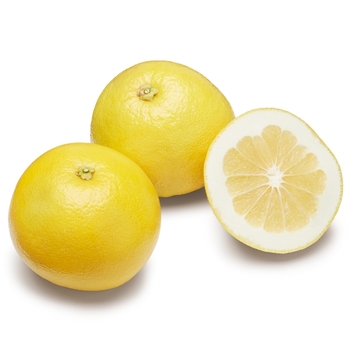 Citrus 'Oroblanco' 