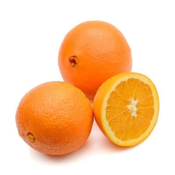 Citrus sinensis 'Washington' 