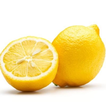 Citrus limon 'Eureka' 