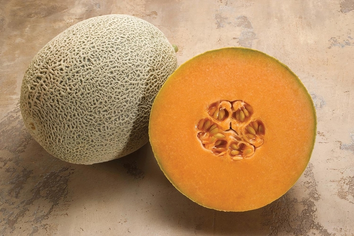 Cucumis melo 'Olympic Gold' (053310)