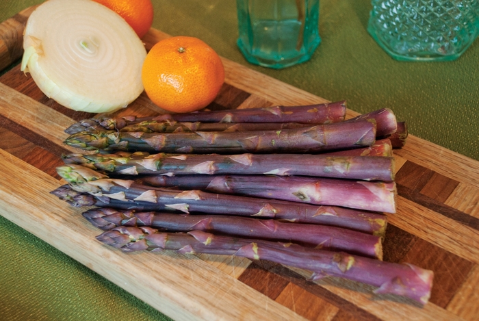 Asparagus officinalis 'Purple Passion' (126476)