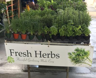 Fresh Herbs 47