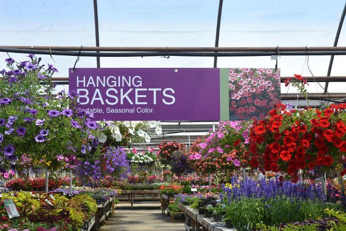 Hanging Baskets 48