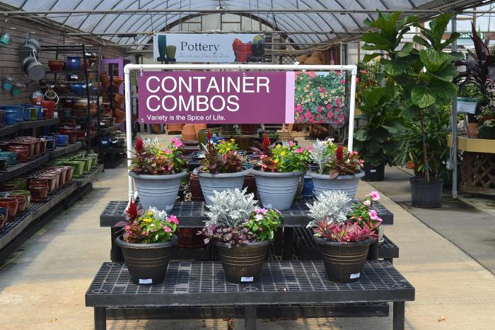 Container Combos 47