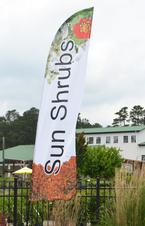 Sun Shrubs Feather Flag