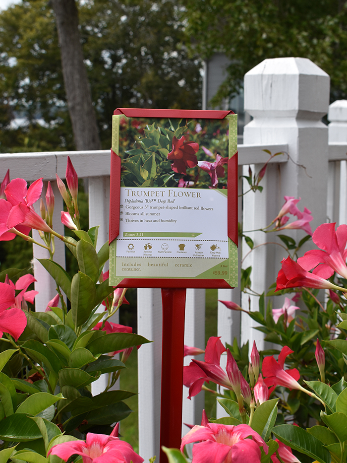 Red Stake Sign Holder with 5