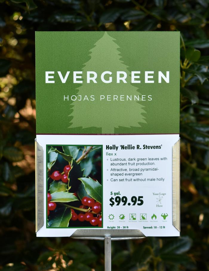 Sign Topper: Evergreen / Climbers