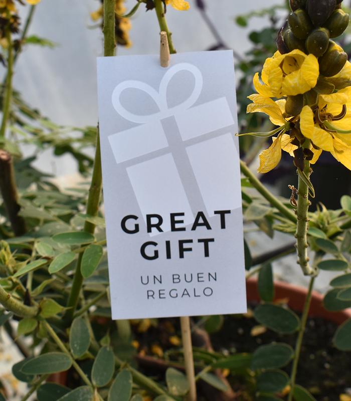 Great Gift Hang Tags