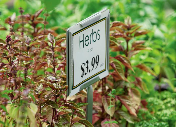 COLMET Bedding Plant Sign Holder with 7