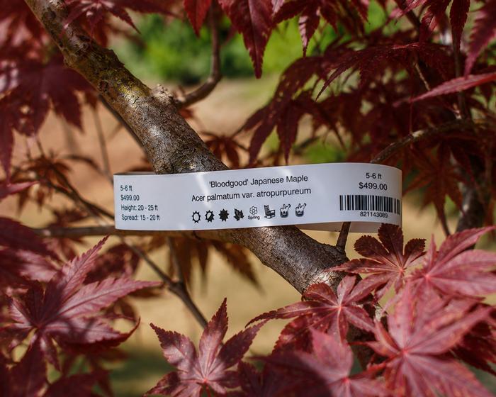 Slip-On® Tree Tags (8-Up Sheets)