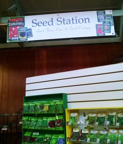 Seed Station 47