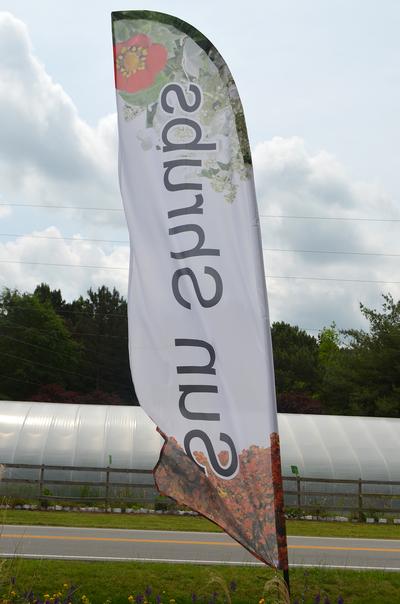 Sun Shrubs Feather Flag