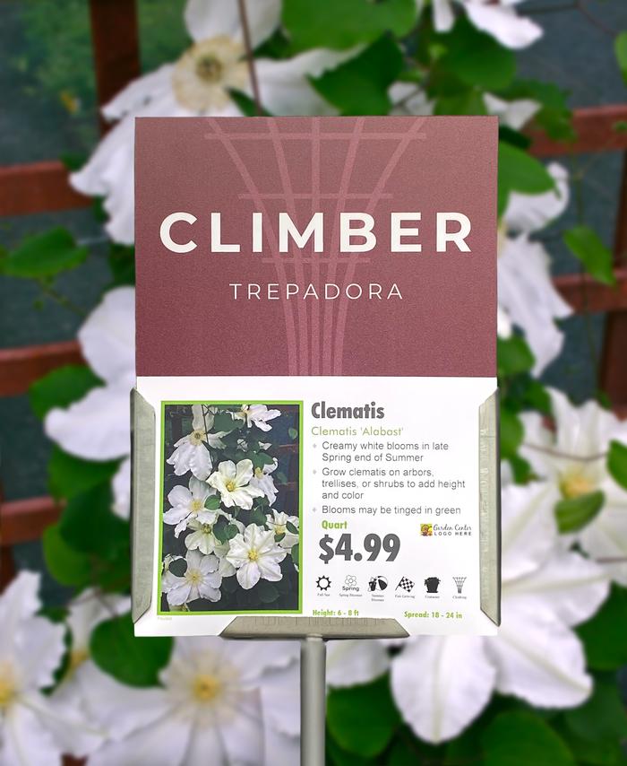 Sign Topper: Evergreen / Climbers