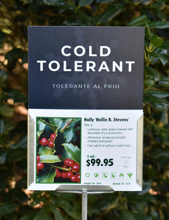 Sign Topper: Winter Interest / Cold Tolerant