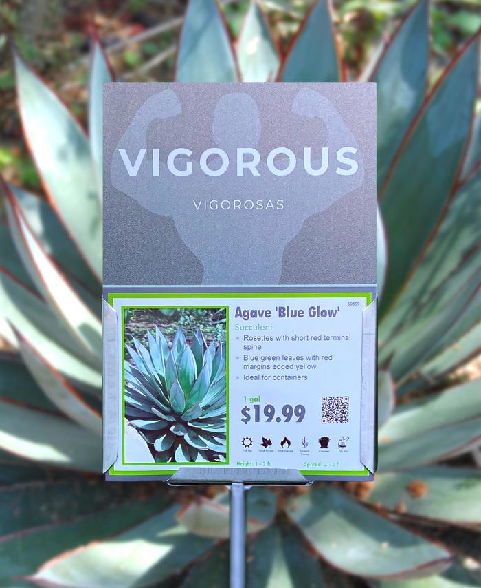 Sign Topper: Vigorous / Native