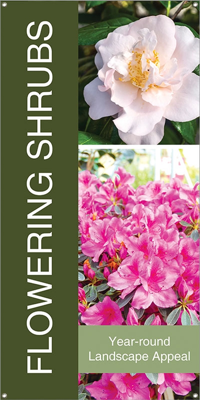 Flowering Shrubs 18 Flowering Shrubs 18