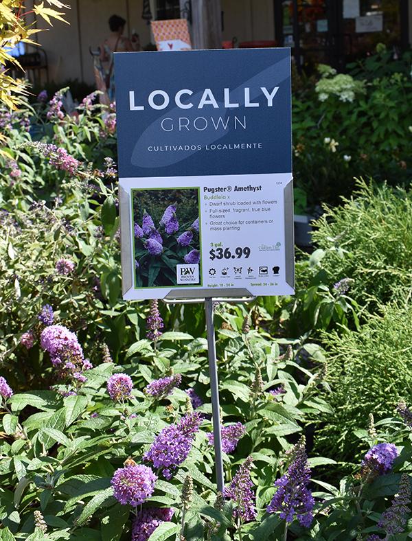 Sign Topper: Locally Grown / Staff Favorite - Keep